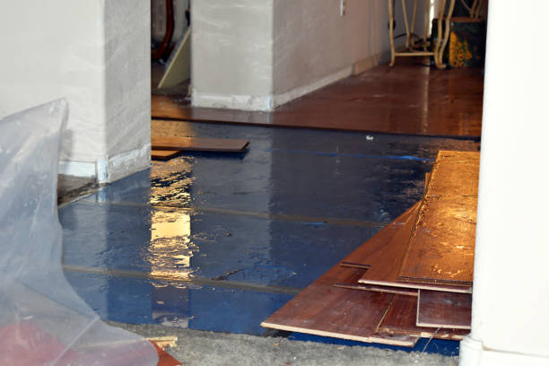 Professional Basement Flood Cleanup technician working in Plainfield, OH